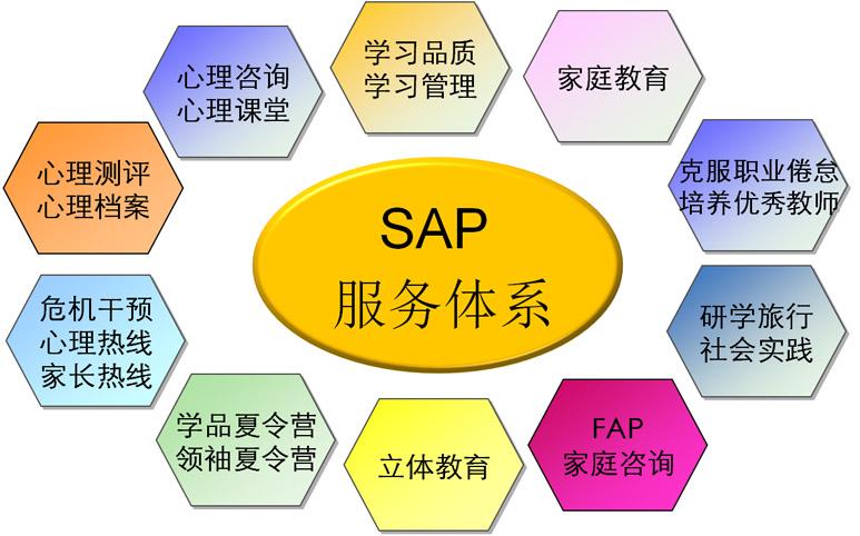 校园心理服务体系(sap)_武汉纽特教育